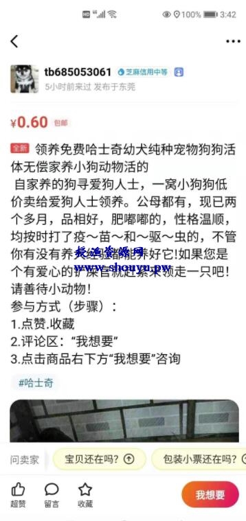 网赚项目：一个闲鱼引流，微信成交的绝对暴利项目！