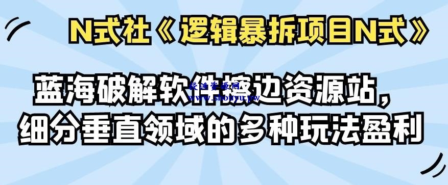 倪尔昂逻辑暴拆项目N式之11：蓝海破解软件擦边资源站，细分垂直领域的多种玩法