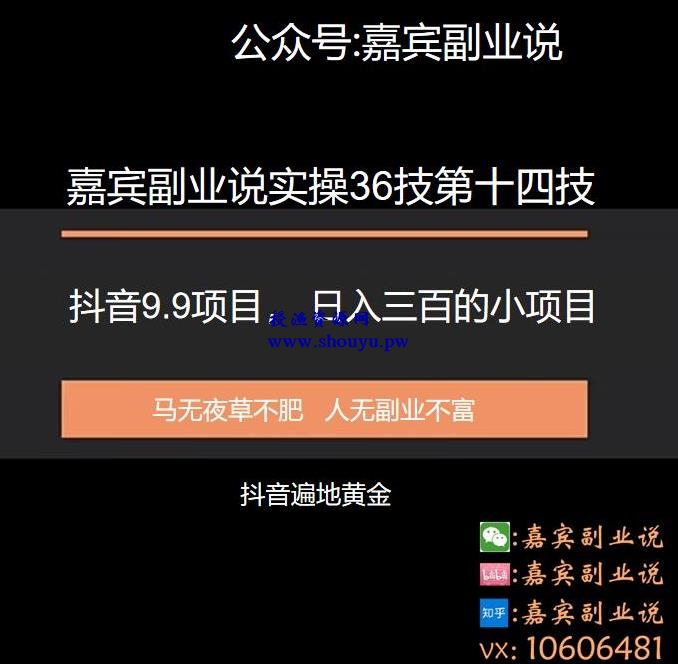 嘉宾副业说实操36技第十四技：抖音9.9项目，日入三百的小项目