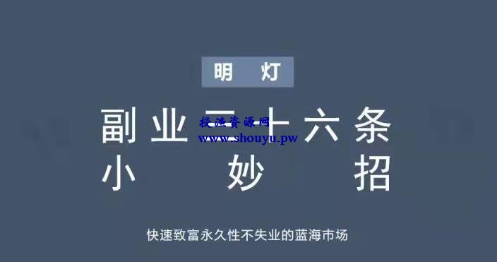 明灯副业三十六条小妙招之第八招快速致富永久性不失业的蓝海市场