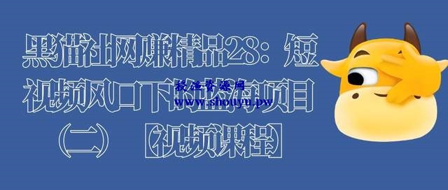 黑猫社网赚精品28：短视频风口下的蓝海项目（二）【视频课程】