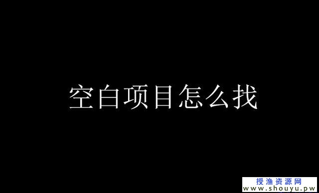 如何快速找到小领域里的空白赚钱项目