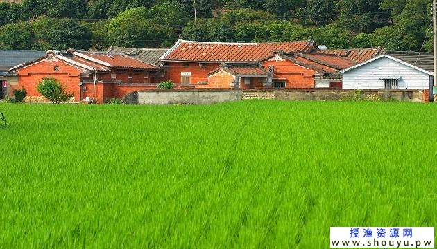 卖养殖 &quot;土元&quot; 教程 赚钱项目