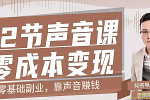 12节声音课，教你0成本变现 零成本副业，靠声音赚钱