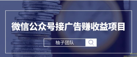 微信公众号接广告赚收益项目，新手零基础也能操作月入万元【视频课程】