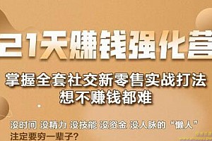 21天赚钱强化营，掌握全套社交新零售实战打法，赚回N倍学员（完结）