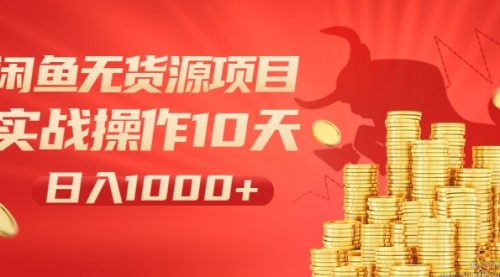 闲鱼无货源项目：实战操作10天做到日入1000+新手老手也可以做！