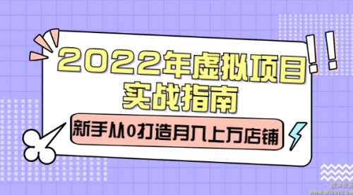 2022年虚拟项目实战指南，新手从0打造月入上万店铺